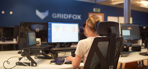Audacia Gridfox